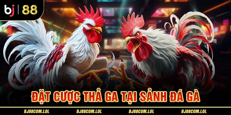 Đặt cược thả ga tại sảnh đá gà BJ88